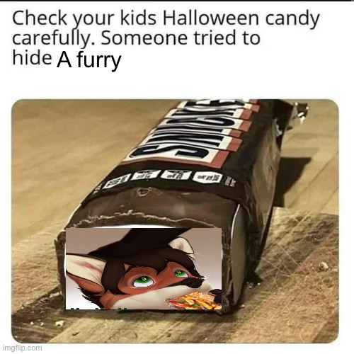 Upvote this to kill | A furry | image tagged in halloween candy | made w/ Imgflip meme maker