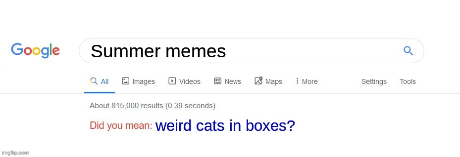 So truth. | Summer memes; weird cats in boxes? | image tagged in did you mean | made w/ Imgflip meme maker