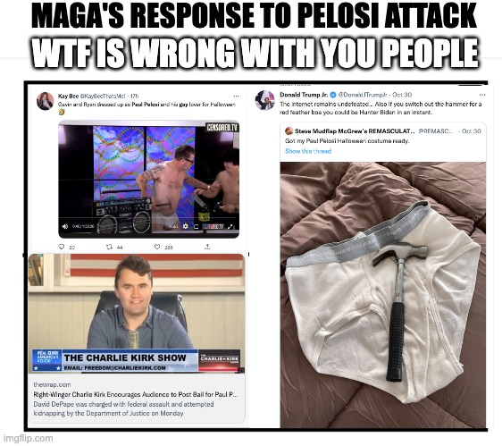 The GOP has lost its mind | MAGA'S RESPONSE TO PELOSI ATTACK; WTF IS WRONG WITH YOU PEOPLE | image tagged in blank quadrant | made w/ Imgflip meme maker