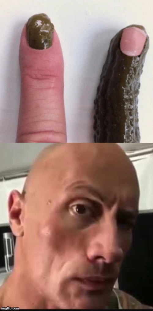 Finger and pickle | image tagged in dwayne johnson eyebrow raise,pickle,finger,cursed image,memes,cursed | made w/ Imgflip meme maker