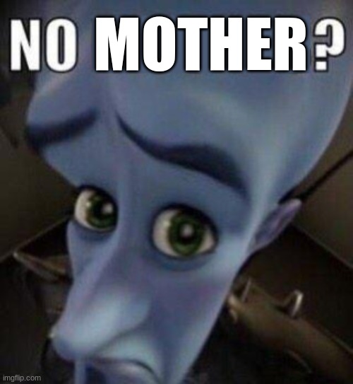 megamind no blank | MOTHER | image tagged in megamind no blank | made w/ Imgflip meme maker