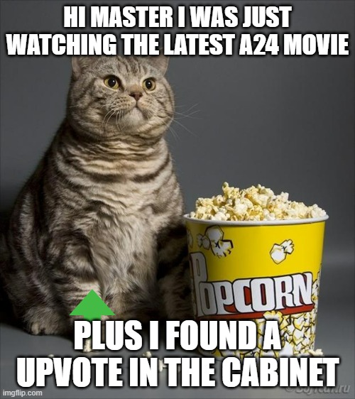 movie loving cat | HI MASTER I WAS JUST WATCHING THE LATEST A24 MOVIE; PLUS I FOUND A UPVOTE IN THE CABINET | image tagged in cat eating popcorn,cats,cuteness overload,upvotes | made w/ Imgflip meme maker