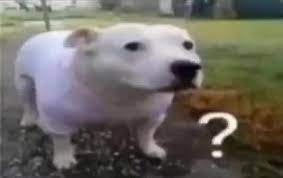 ? dog Blank Meme Template