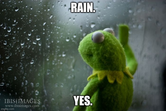 kermit window | RAIN. YES. | image tagged in kermit window | made w/ Imgflip meme maker
