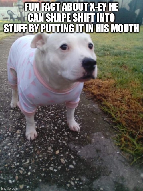 High quality Huh Dog | FUN FACT ABOUT X-EY HE CAN SHAPE SHIFT INTO STUFF BY PUTTING IT IN HIS MOUTH | image tagged in high quality huh dog | made w/ Imgflip meme maker