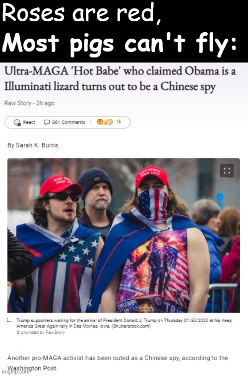 Troll of the Day: "Ultra MAGA BELLA Hot Babe" | Roses are red, Most pigs can't fly: | image tagged in ultra-maga hot babe chinese spy | made w/ Imgflip meme maker