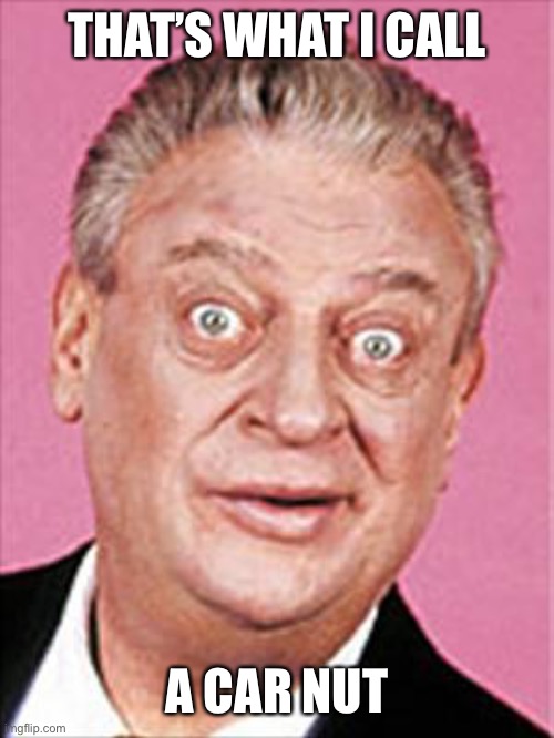 rodney dangerfield | THAT’S WHAT I CALL A CAR NUT | image tagged in rodney dangerfield | made w/ Imgflip meme maker