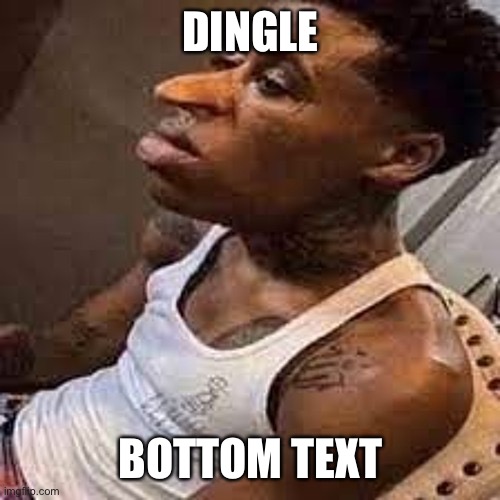 DINGLE; BOTTOM TEXT | image tagged in quandale dingle | made w/ Imgflip meme maker