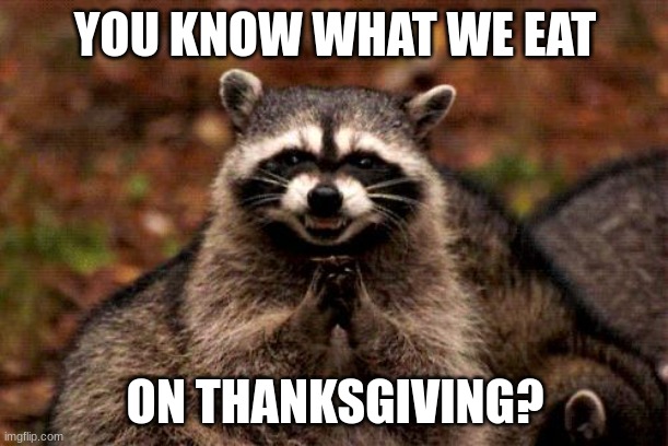 Evil Plotting Raccoon Meme | YOU KNOW WHAT WE EAT ON THANKSGIVING? | image tagged in memes,evil plotting raccoon | made w/ Imgflip meme maker