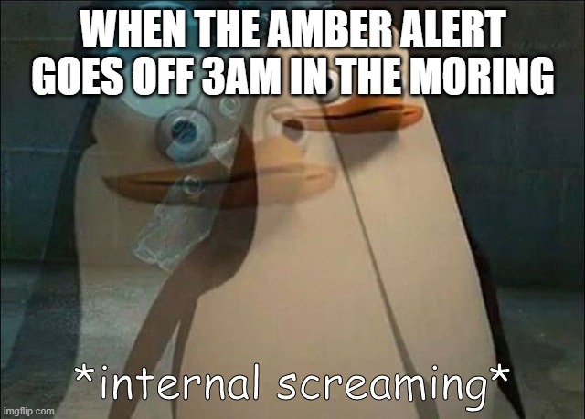 Hate it when that happens | WHEN THE AMBER ALERT GOES OFF 3AM IN THE MORING | image tagged in private internal screaming,amber alert | made w/ Imgflip meme maker