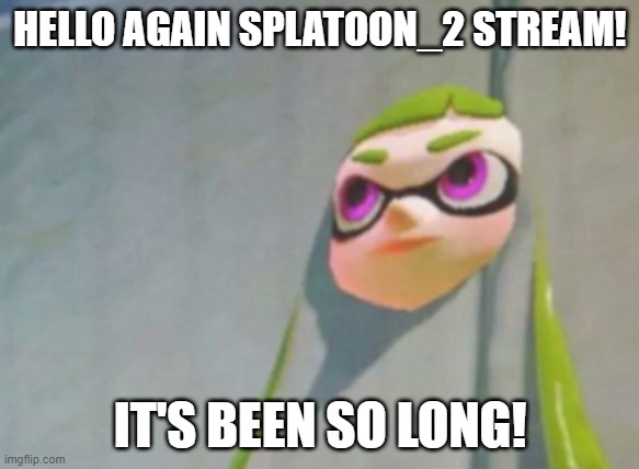 Finally, after months of the website being blocked, I can get back on! | HELLO AGAIN SPLATOON_2 STREAM! IT'S BEEN SO LONG! | image tagged in woomy in the wall glitch splatoon | made w/ Imgflip meme maker