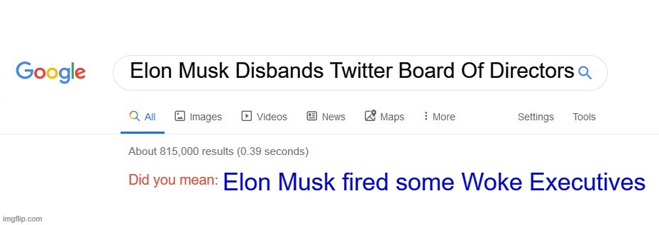 Did you mean? | Elon Musk Disbands Twitter Board Of Directors; Elon Musk fired some Woke Executives | image tagged in did you mean | made w/ Imgflip meme maker