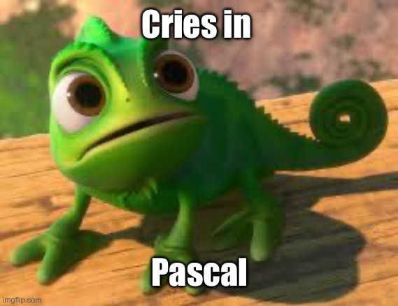 Cries in Pascal | made w/ Imgflip meme maker