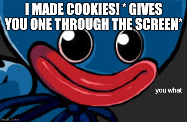 you what (Huggy Wuggy edition) | I MADE COOKIES! * GIVES YOU ONE THROUGH THE SCREEN* | image tagged in you what huggy wuggy edition | made w/ Imgflip meme maker
