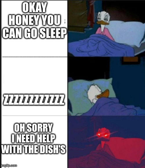 Sleeping Donal Duck | OKAY HONEY YOU CAN GO SLEEP; ZZZZZZZZZZZZ; OH SORRY I NEED HELP WITH THE DISH'S | image tagged in sleeping donal duck | made w/ Imgflip meme maker