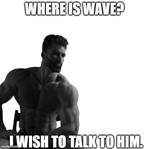 . | WHERE IS WAVE? I WISH TO TALK TO HIM. | made w/ Imgflip meme maker