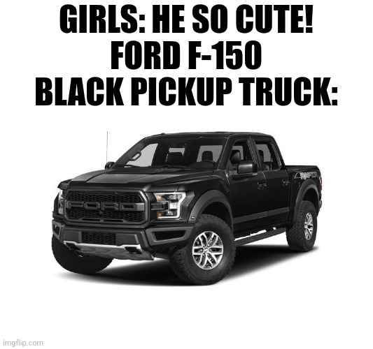 Black Ford F-150 Truck | GIRLS: HE SO CUTE!
FORD F-150 BLACK PICKUP TRUCK: | image tagged in black ford f-150 truck | made w/ Imgflip meme maker