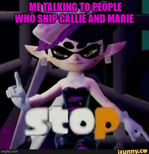 There literally cousins! | ME TALKING TO PEOPLE WHO SHIP CALLIE AND MARIE | image tagged in callie splatoon stop | made w/ Imgflip meme maker