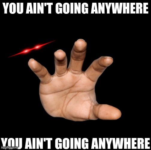 YOU AIN'T GOING ANYWHERE; YOU AIN'T GOING ANYWHERE | image tagged in funny,idk,hands | made w/ Imgflip meme maker