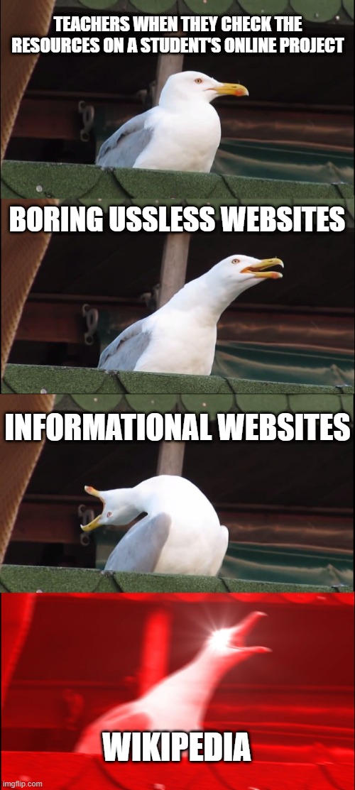 Inhaling Seagull Meme | TEACHERS WHEN THEY CHECK THE RESOURCES ON A STUDENT'S ONLINE PROJECT; BORING USSLESS WEBSITES; INFORMATIONAL WEBSITES; WIKIPEDIA | image tagged in memes,inhaling seagull | made w/ Imgflip meme maker