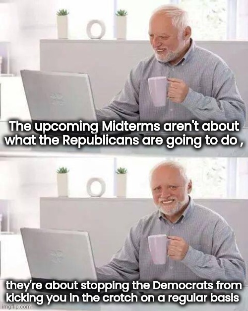 Do the Right thing | The upcoming Midterms aren't about what the Republicans are going to do , they're about stopping the Democrats from kicking you in the crotch on a regular basis | image tagged in memes,hide the pain harold,daily abuse,stop it get some help,politicians suck,new ones please | made w/ Imgflip meme maker