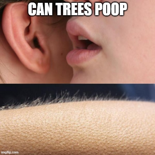 Whisper and Goosebumps | CAN TREES POOP | image tagged in whisper and goosebumps | made w/ Imgflip meme maker
