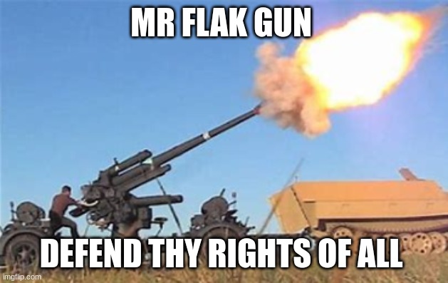 Flak gun | MR FLAK GUN DEFEND THY RIGHTS OF ALL | image tagged in flak gun | made w/ Imgflip meme maker