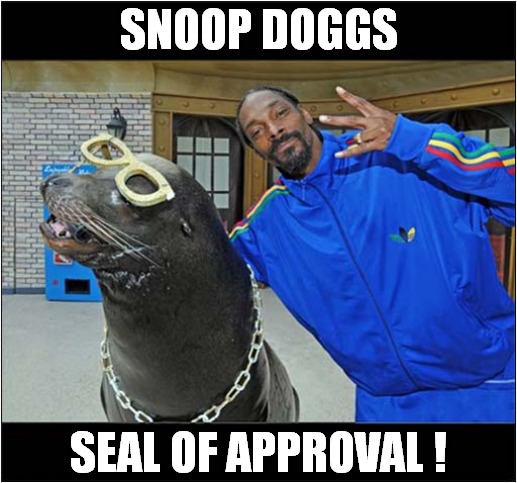 What Do We Have Here ? | SNOOP DOGGS; SEAL OF APPROVAL ! | image tagged in fun,snoop dogg,seal of approval | made w/ Imgflip meme maker