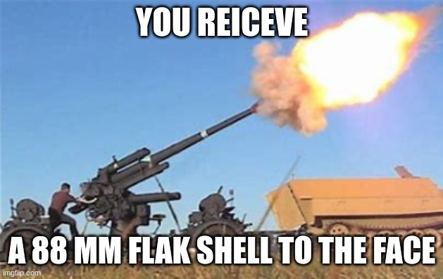 Flak gun | YOU REICEVE A 88 MM FLAK SHELL TO THE FACE | image tagged in flak gun | made w/ Imgflip meme maker