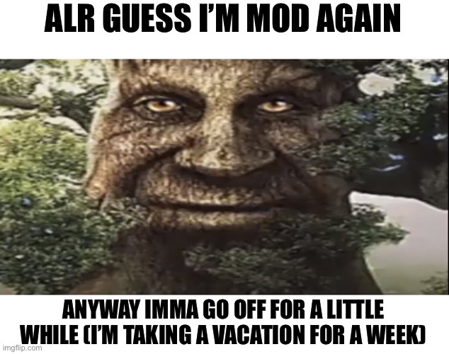 See you in a week | ALR GUESS I’M MOD AGAIN; ANYWAY IMMA GO OFF FOR A LITTLE WHILE (I’M TAKING A VACATION FOR A WEEK) | image tagged in wise mystical tree | made w/ Imgflip meme maker