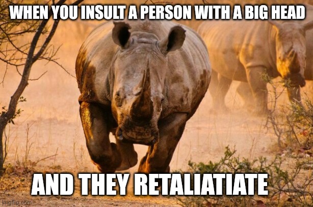 Rhino  | WHEN YOU INSULT A PERSON WITH A BIG HEAD; AND THEY RETALIATIATE | image tagged in rhino,memes | made w/ Imgflip meme maker