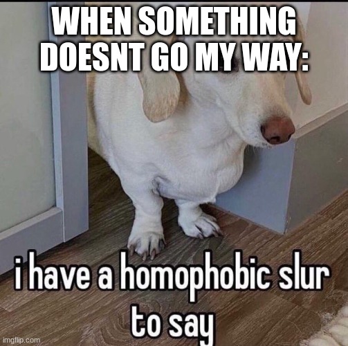 I have a homophobic slur to say | WHEN SOMETHING DOESNT GO MY WAY: | image tagged in i have a homophobic slur to say | made w/ Imgflip meme maker