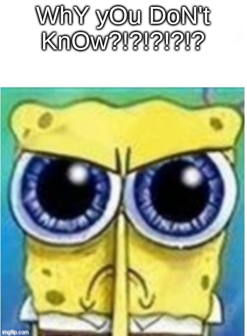 Angry spongebob blank | WhY yOu DoN't KnOw?!?!?!?!? | image tagged in angry spongebob blank | made w/ Imgflip meme maker