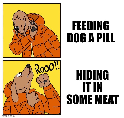drake dog | FEEDING DOG A PILL; HIDING IT IN SOME MEAT | image tagged in drake dog | made w/ Imgflip meme maker