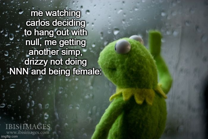 *sad musik* | me watching carlos deciding to hang out with null, me getting another simp, drizzy not doing NNN and being female: | image tagged in kermit window | made w/ Imgflip meme maker