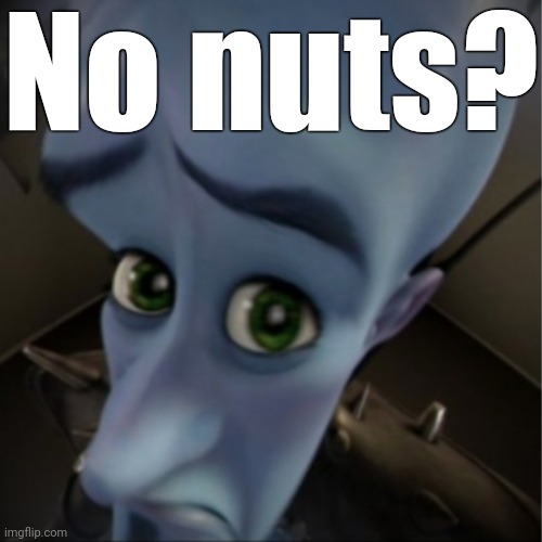 Megamind peeking | No nuts? | image tagged in megamind peeking | made w/ Imgflip meme maker