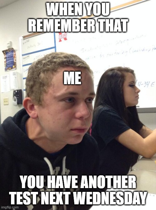 When you... | WHEN YOU REMEMBER THAT; ME; YOU HAVE ANOTHER TEST NEXT WEDNESDAY | image tagged in when you | made w/ Imgflip meme maker