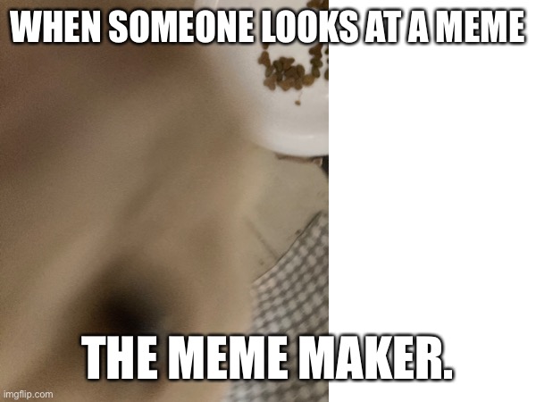 The meme maker (Lucas) | WHEN SOMEONE LOOKS AT A MEME; THE MEME MAKER. | image tagged in cats,cat,funny cats | made w/ Imgflip meme maker