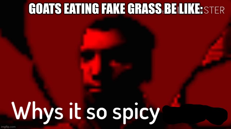 Why it so spicy? | GOATS EATING FAKE GRASS BE LIKE: | image tagged in why it so spicy | made w/ Imgflip meme maker