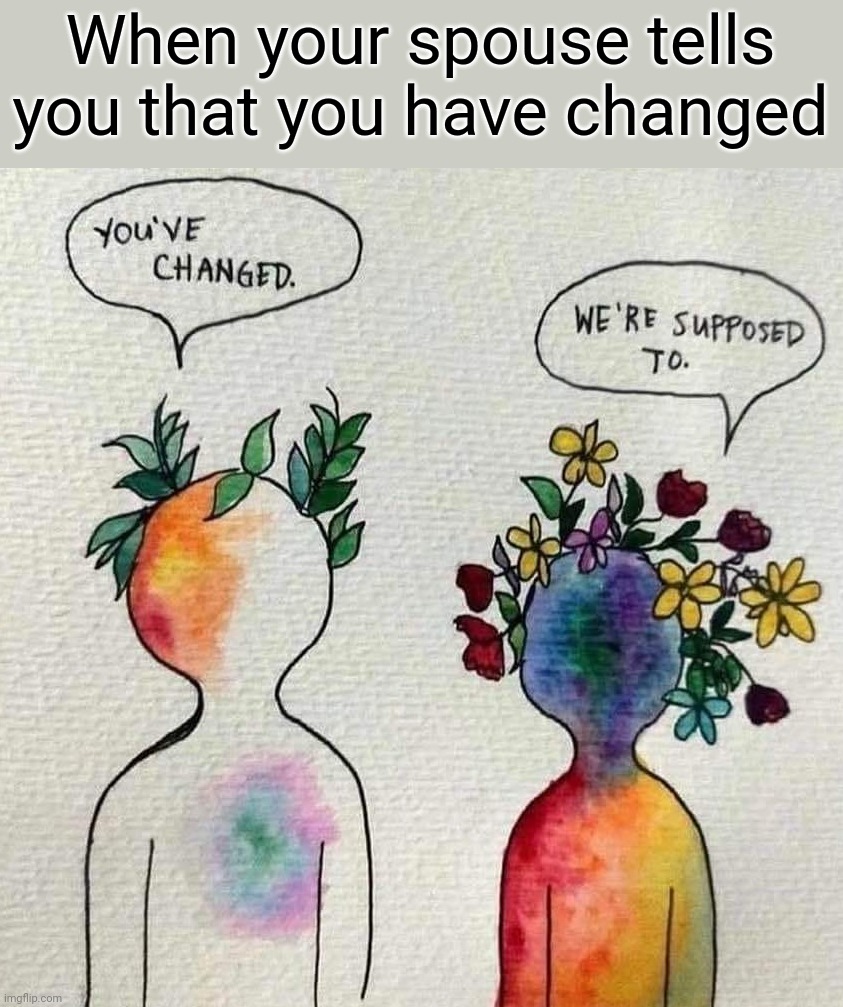 When your spouse tells you that you have changed | image tagged in changed | made w/ Imgflip meme maker