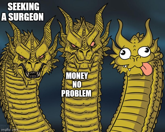 Three-headed Dragon | SEEKING A SURGEON; MONEY NO PROBLEM | image tagged in three-headed dragon | made w/ Imgflip meme maker