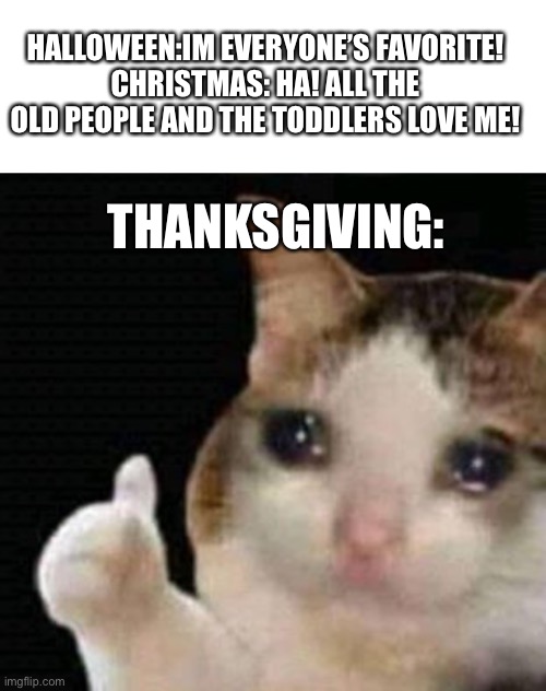 HALLOWEEN:IM EVERYONE’S FAVORITE!
CHRISTMAS: HA! ALL THE OLD PEOPLE AND THE TODDLERS LOVE ME! THANKSGIVING: | image tagged in blank white template,sad thumbs up cat | made w/ Imgflip meme maker
