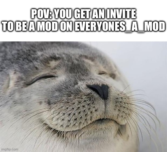POV: YOU GET AN INVITE TO BE A MOD ON EVERYONES_A_MOD | image tagged in blank white template,memes,satisfied seal | made w/ Imgflip meme maker