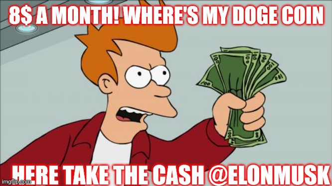 Shut Up And Take My Money Fry Meme | 8$ A MONTH! WHERE'S MY DOGE COIN; HERE TAKE THE CASH @ELONMUSK | image tagged in memes,shut up and take my money fry | made w/ Imgflip meme maker