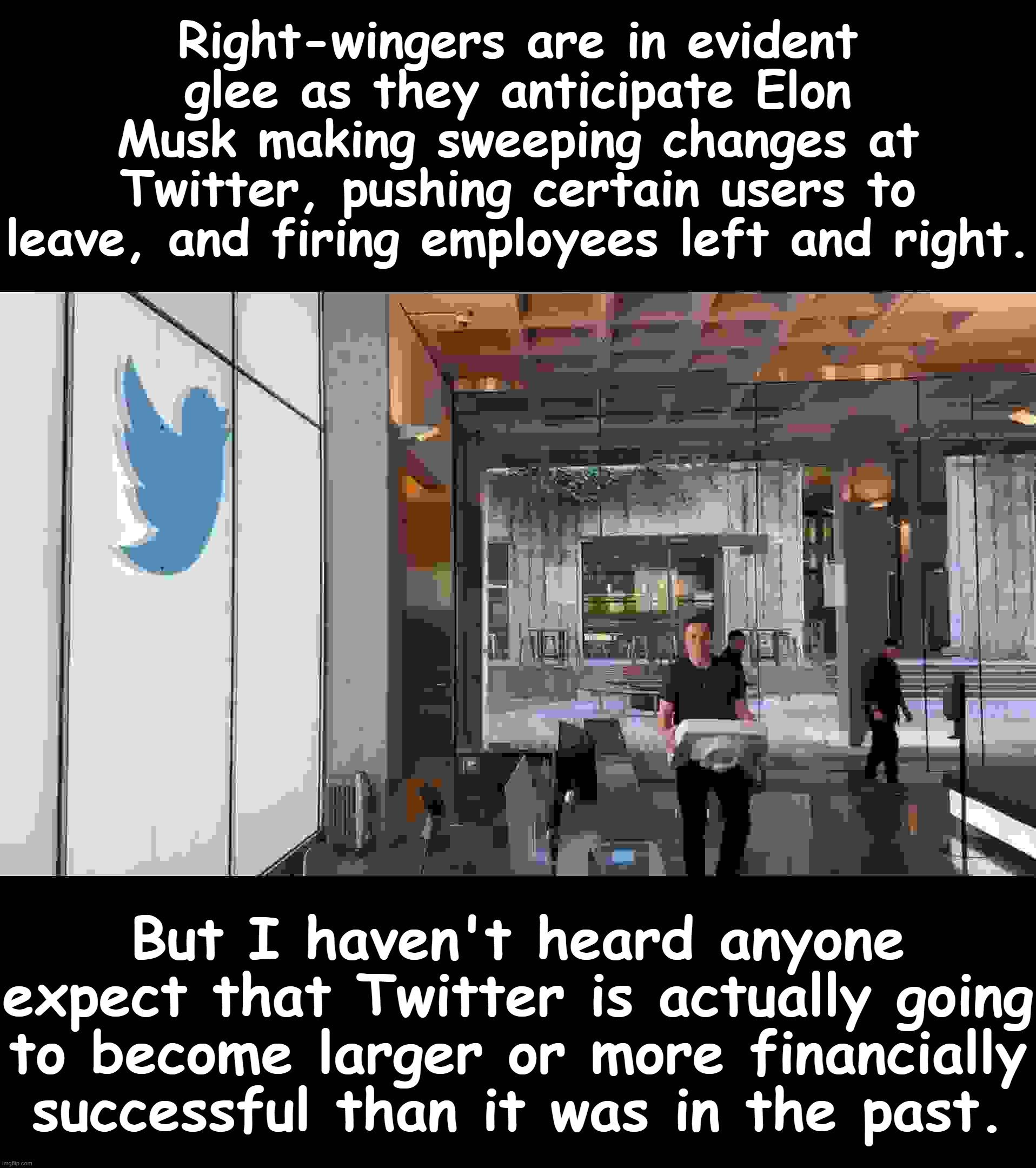 Right-wingers are more thrilled by chaos, retaliation, and "owning the libz" than by objective measures of success. | Right-wingers are in evident glee as they anticipate Elon Musk making sweeping changes at Twitter, pushing certain users to leave, and firing employees left and right. But I haven't heard anyone expect that Twitter is actually going to become larger or more financially successful than it was in the past. | image tagged in elon musk twitter sink | made w/ Imgflip meme maker