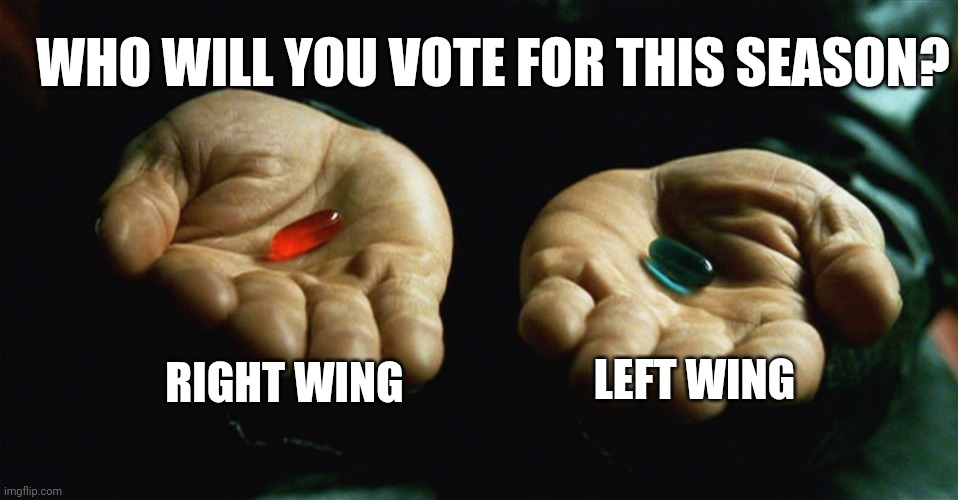 (Neo took the red pill) | WHO WILL YOU VOTE FOR THIS SEASON? RIGHT WING; LEFT WING | image tagged in red pill blue pill | made w/ Imgflip meme maker