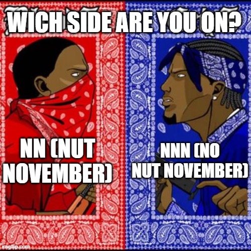 November Rain | WICH SIDE ARE YOU ON? NN (NUT NOVEMBER); NNN (NO NUT NOVEMBER) | image tagged in gang war meme,no nut november,november | made w/ Imgflip meme maker