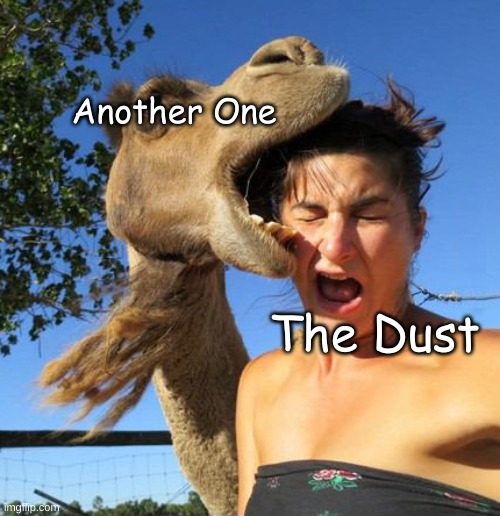 Queen is my favorite band and no one can change my mind | Another One; The Dust | image tagged in camel bite | made w/ Imgflip meme maker