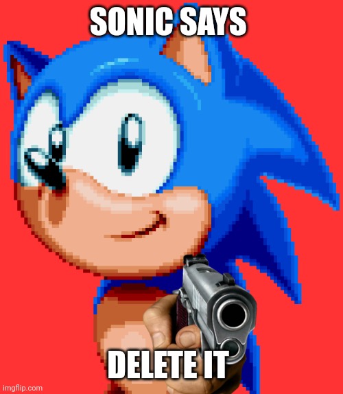 sonic with a gun | SONIC SAYS DELETE IT | image tagged in sonic with a gun | made w/ Imgflip meme maker