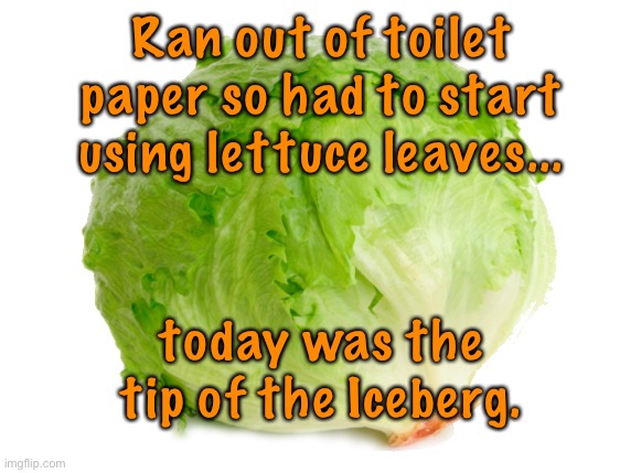 Out of toilet paper | Ran out of toilet paper so had to start using lettuce leaves... today was the tip of the Iceberg. | image tagged in lettuce,no toilet paper,using,lettuce leaves,tip of iceberg,dark humour | made w/ Imgflip meme maker